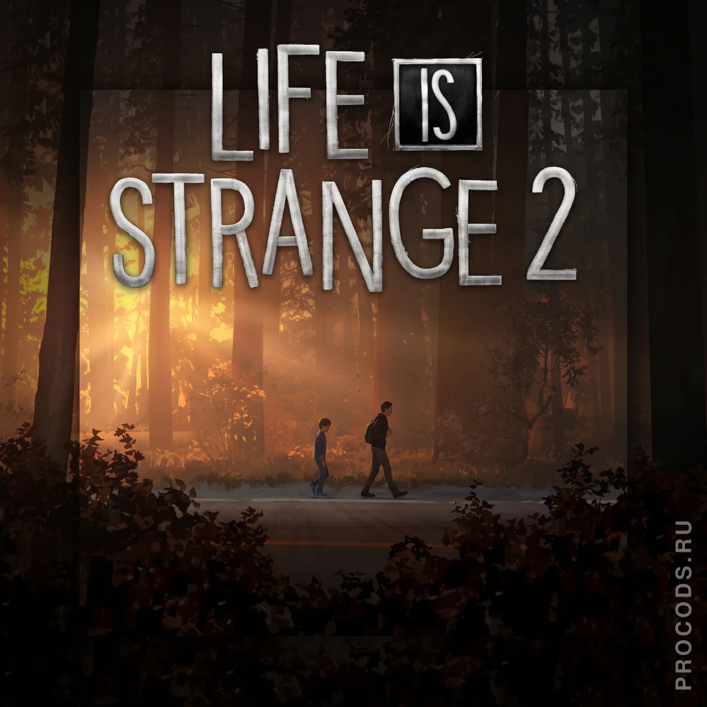 Life is Strange 2, Весь мир