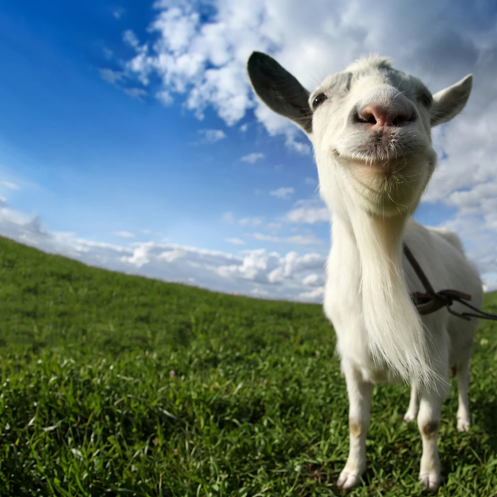 Goat Simulator, Весь мир