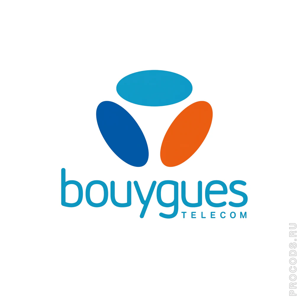 Bouygues, Франция